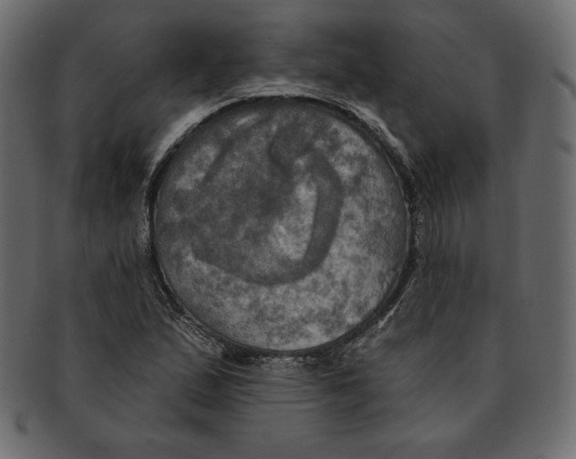 X0000091911167200710031013