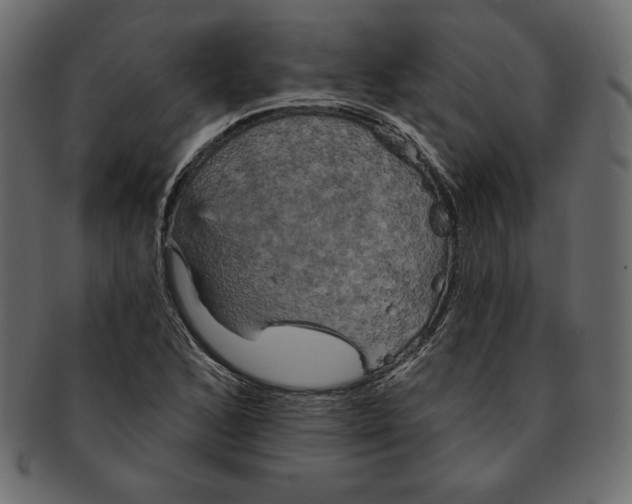 X0000091911168200710031013