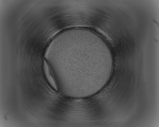 X0000091911169200710031013