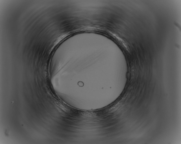 X0000091911170200710031013