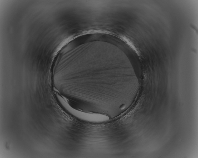 X0000091911173200710031013