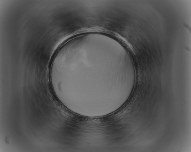 X0000091911174200710031013