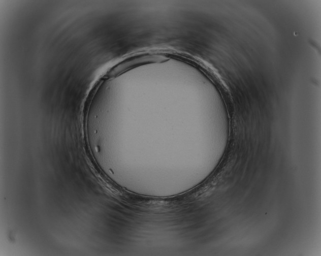 X0000091911176200710031013