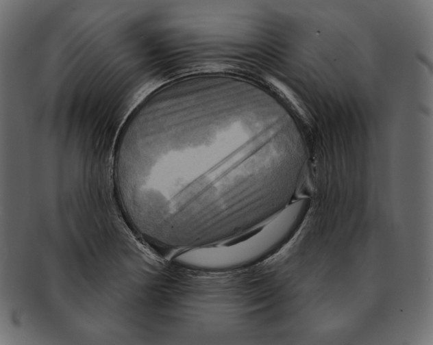 X0000091911178200710031013