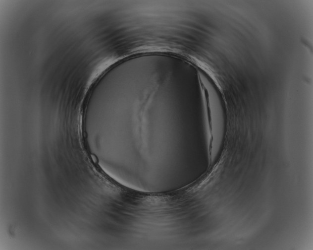 X0000091911179200710031013