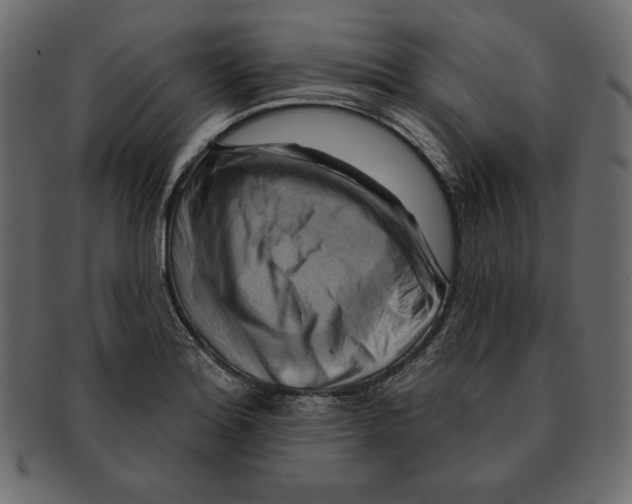 X0000091911180200710031013