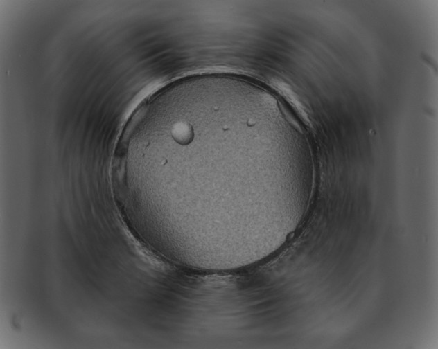 X0000091911181200710031013