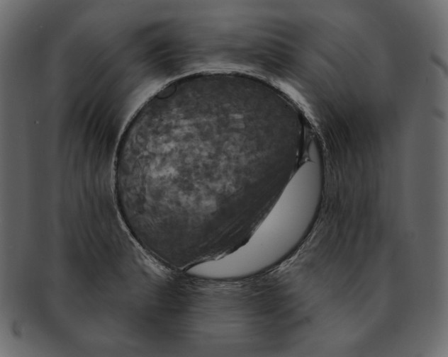 X0000091911183200710031013