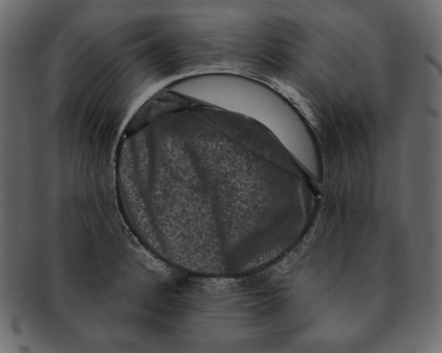 X0000091911184200710031013