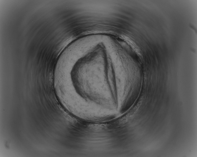 X0000091911185200710031013