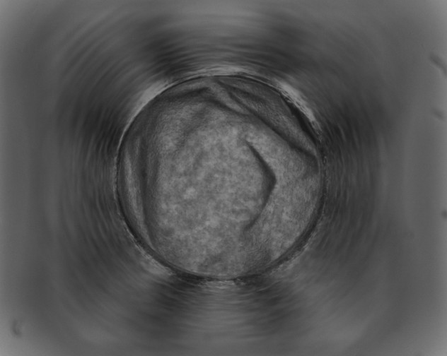 X0000091911186200710031013