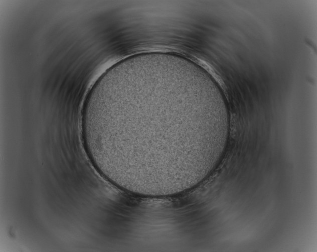 X0000091911187200710031013