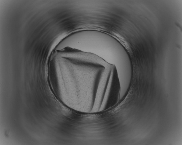 X0000091911188200710031013