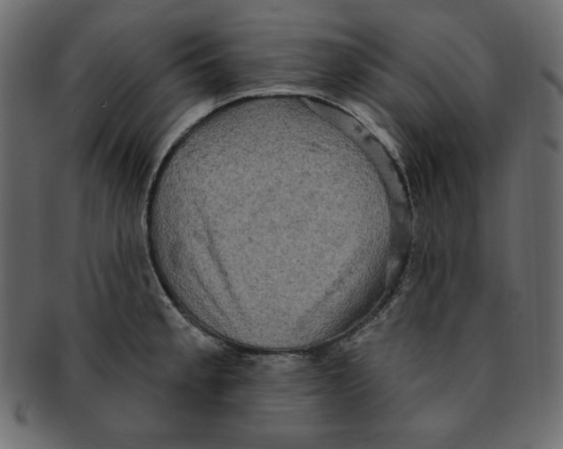 X0000091911189200710031013