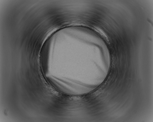 X0000091911190200710031013