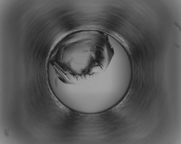 X0000091911192200710031013