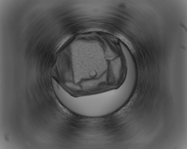 X0000091911193200710031013