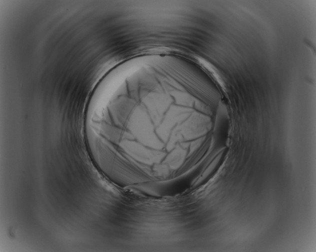 X0000091911194200710031013