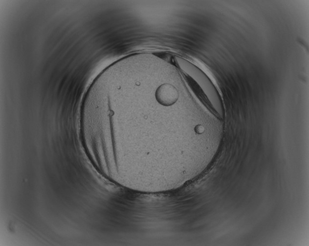 X0000091911195200710031013