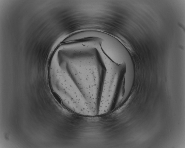 X0000091911196200710031013