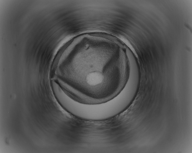 X0000091911197200710031013