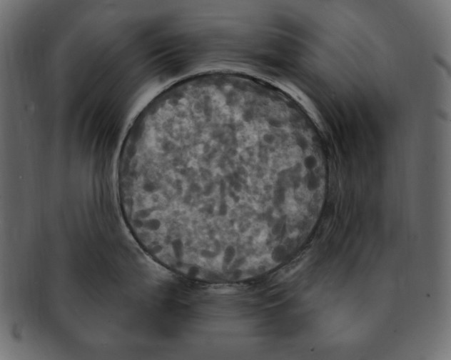 X0000091911199200710031013