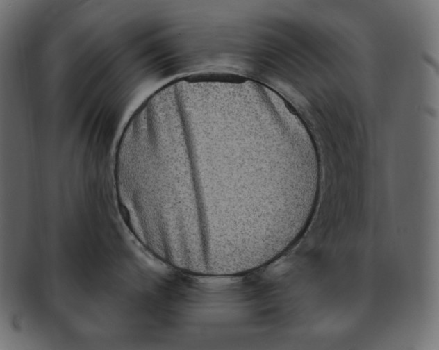 X0000091911200200710031013