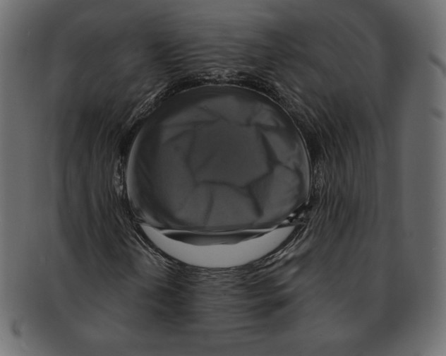 X0000091911202200710031012