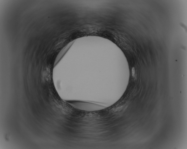 X0000091911203200710031012