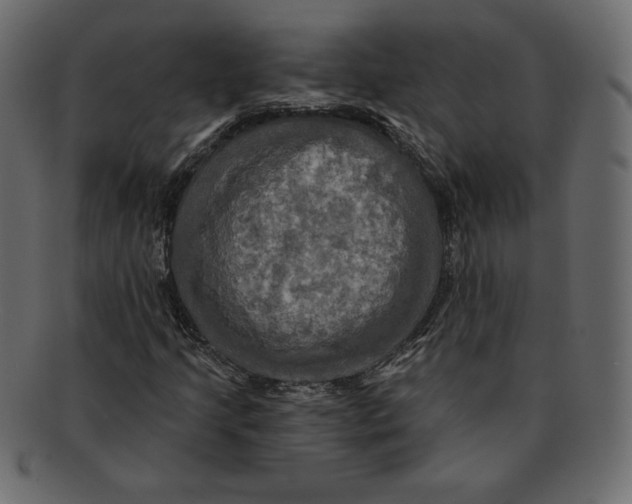 X0000091911205200710031012