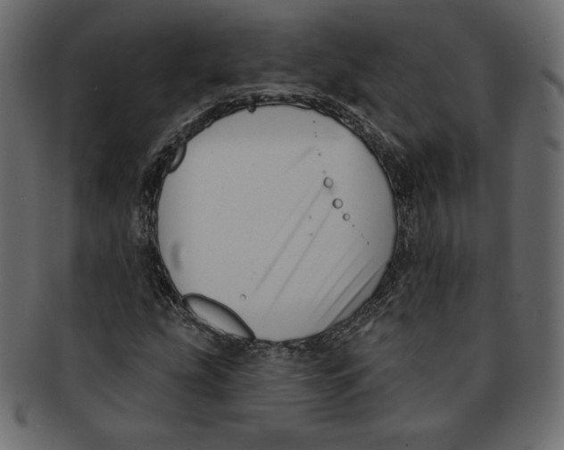 X0000091911207200710031012