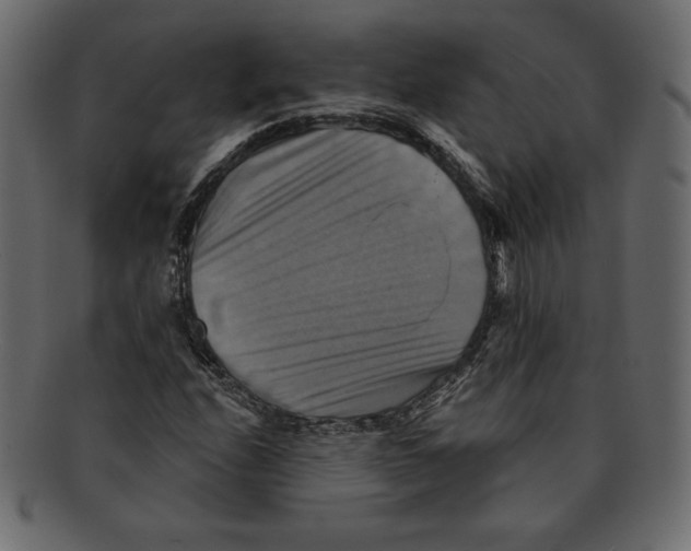 X0000091911208200710031012