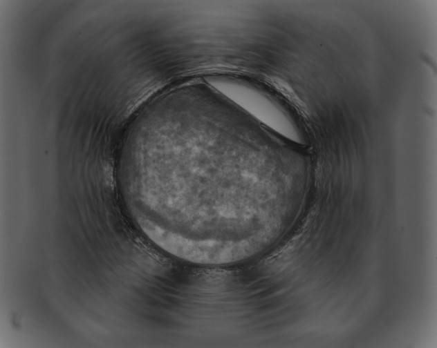 X0000091911209200710031012