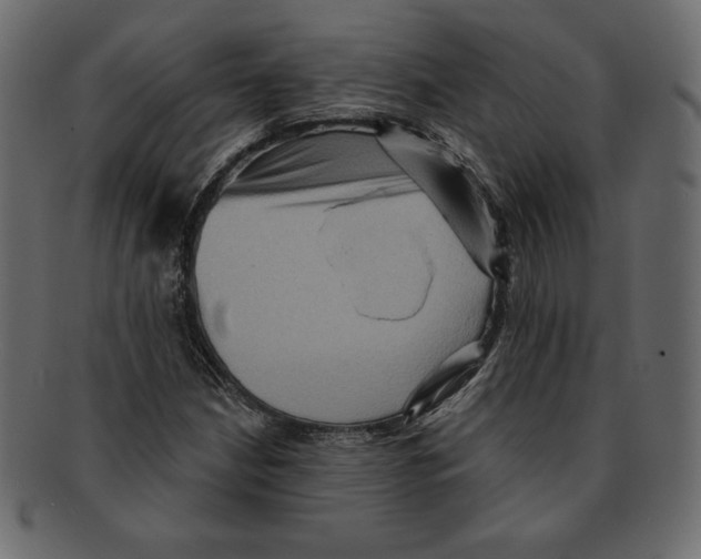 X0000091911210200710031013