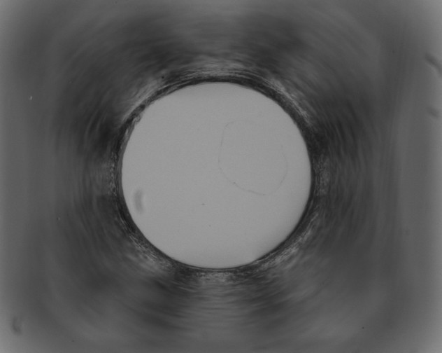 X0000091911211200710031013