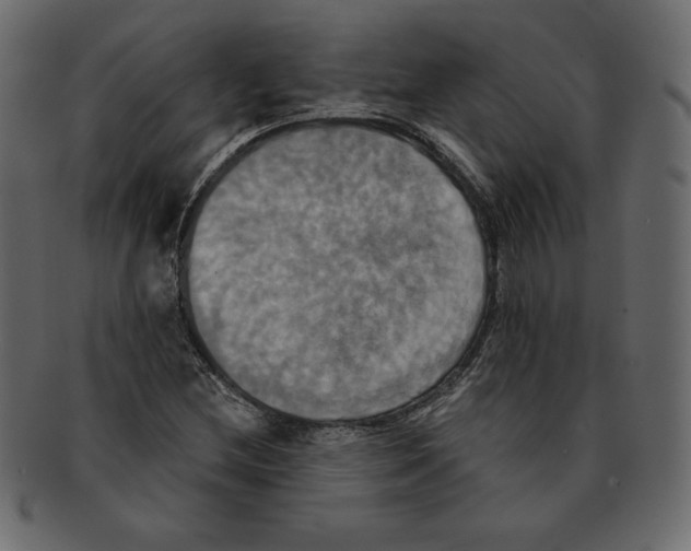 X0000091911212200710031013