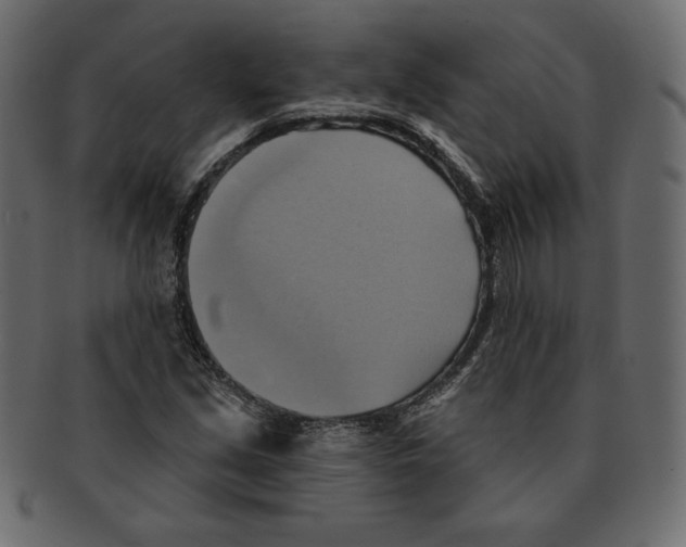 X0000091911213200710031013