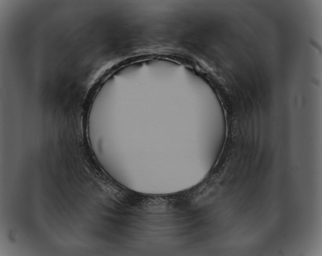 X0000091911214200710031013