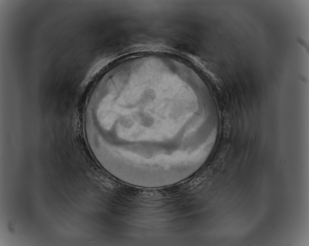 X0000091911215200710031013