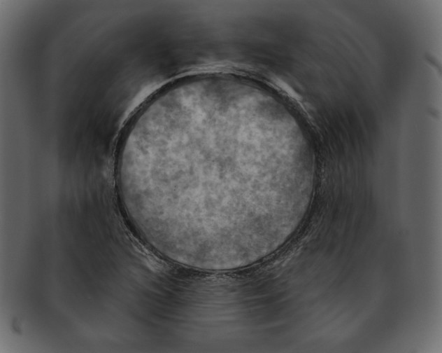 X0000091911216200710031013