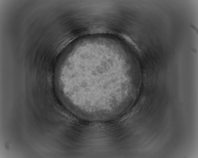 X0000091911217200710031013