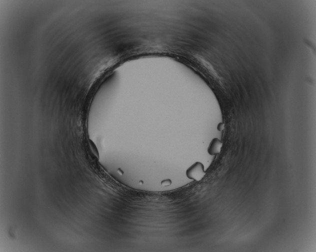 X0000091911218200710031013