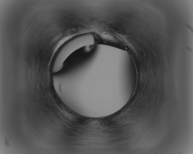 X0000091911222200710031013