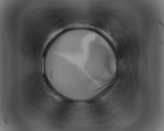 X0000091911223200710031013