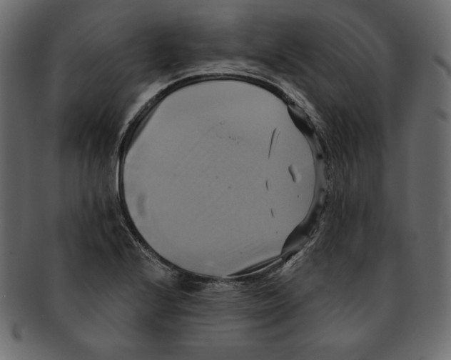 X0000091911224200710031013