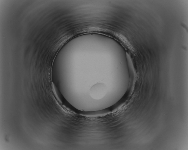 X0000091911225200710031013