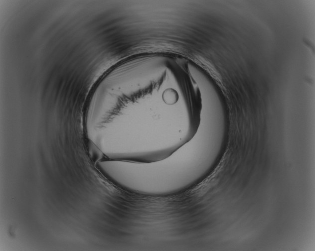 X0000091911226200710031013