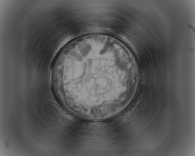 X0000091911227200710031013