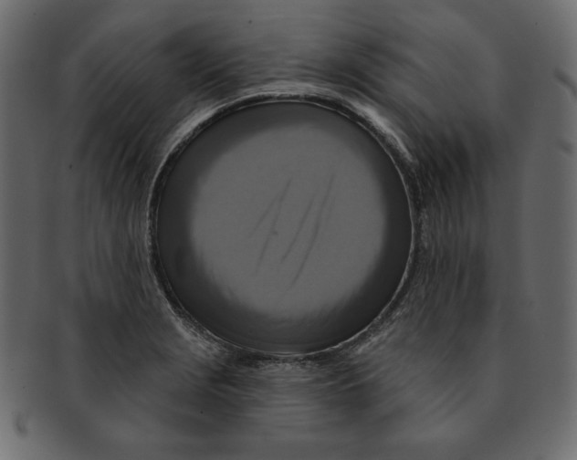 X0000091911229200710031013