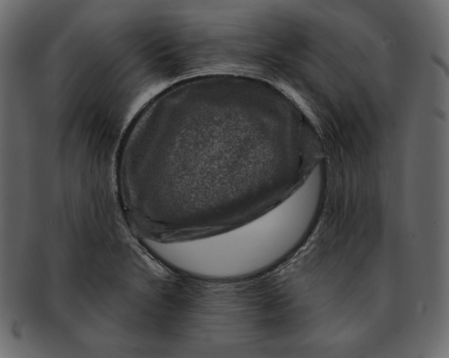 X0000091911230200710031013